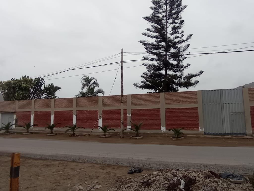 CASA HUERTA + ALMACÉN EN CHILCA – US$ 850,000 — foto 23