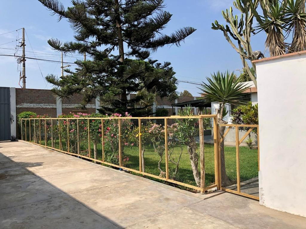 CASA HUERTA + ALMACÉN EN CHILCA – US$ 850,000 — foto 3