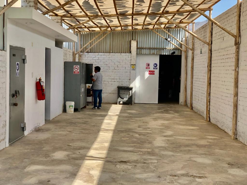 CASA HUERTA + ALMACÉN EN CHILCA – US$ 850,000 — foto 20
