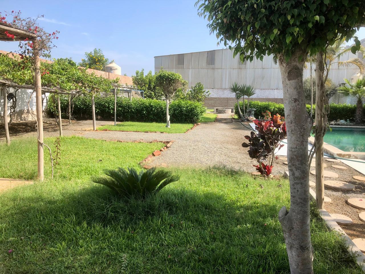 CASA HUERTA + ALMACÉN EN CHILCA – US$ 850,000 — foto 22