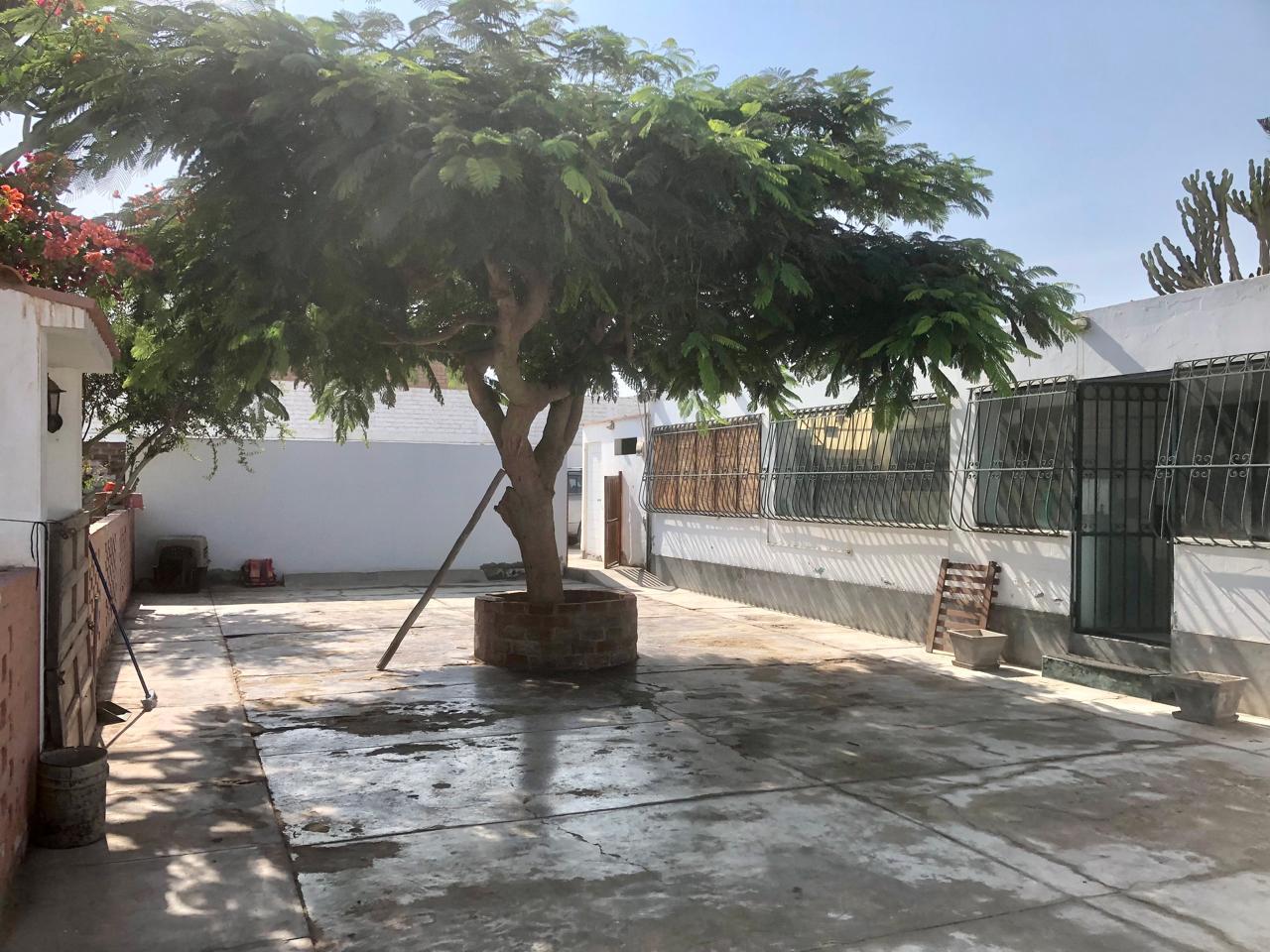 CASA HUERTA + ALMACÉN EN CHILCA – US$ 850,000 — foto 18